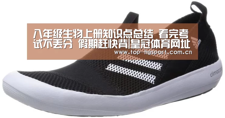 八年级生物上册知识点总结 看完考试不丢分 假期赶快背|皇冠体育网址(图3) 皇冠体育app